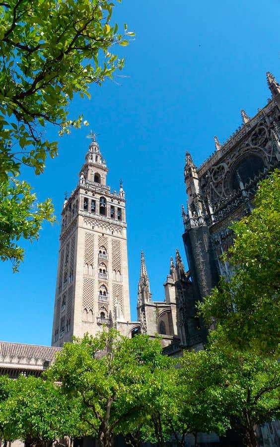 Visita guiada Catedral Sevilla